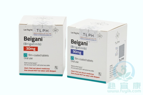 老挝东盟布加替尼(Beigani)说明书