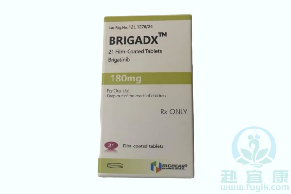老挝大熊布加替尼(BRIGADX)说明书