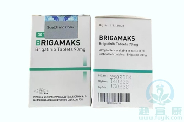 老挝第二制药厂布加替尼(BRIGAMAKS)说明书