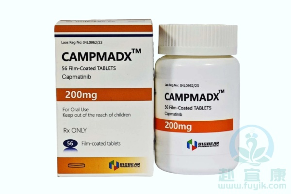 老挝大熊卡马替尼(CAMPMADX)说明书