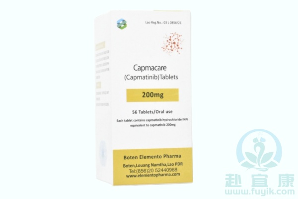 老挝元素卡马替尼(Capmatinib)说明书