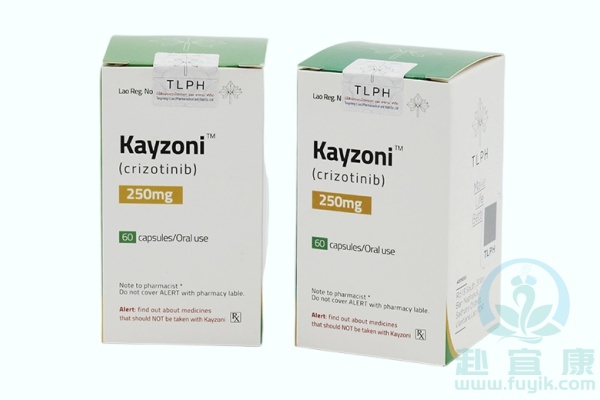 老挝东盟克唑替尼(Kayzoni)说明书