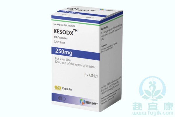 老挝大熊克唑替尼(KESODX)说明书