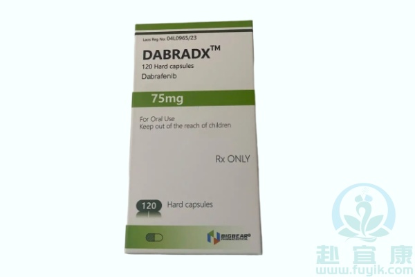 老挝大熊达拉非尼(DABRADX)说明书