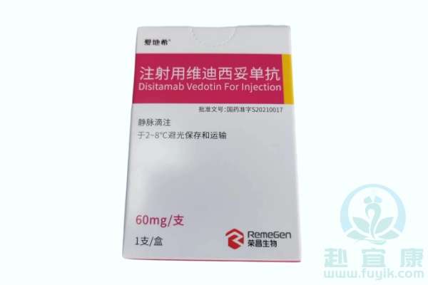 维迪西妥单抗(爱地希,Disitamab)说明书