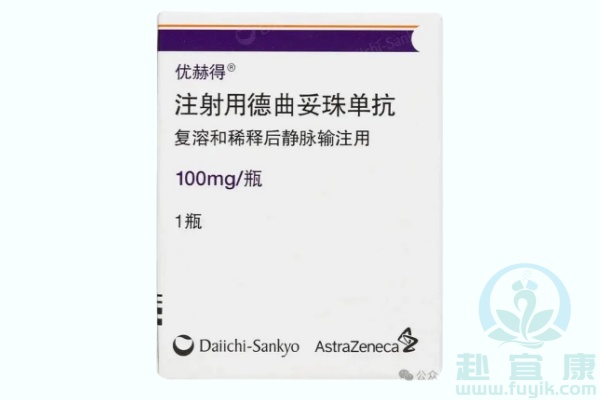 德曲妥珠单抗(优赫得,Enhertu,DS-8201)说明书