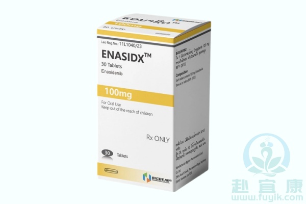 老挝大熊恩西地平(ENASIDX)说明书