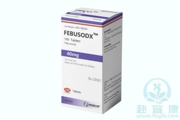 老挝大熊非布司他(Febuxostat)说明书