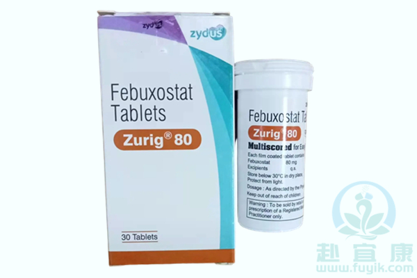 印度祖迪斯非布司他/非布索坦(Zurig)说明书