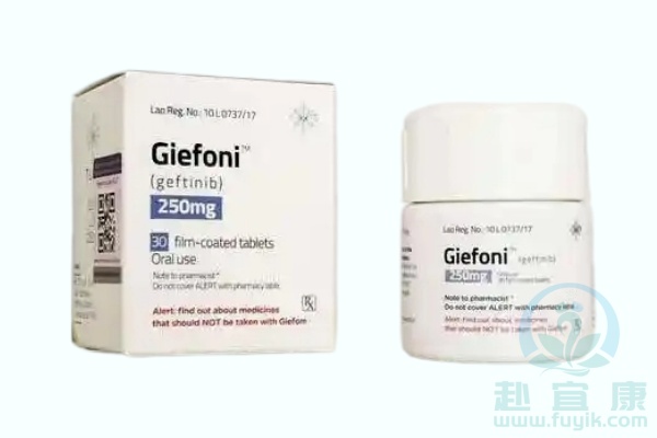 老挝东盟吉非替尼(Geifoni)说明书
