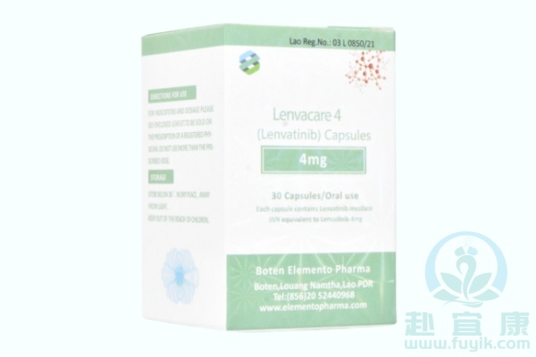 老挝元素乐伐替尼(Lenvatinib)说明书