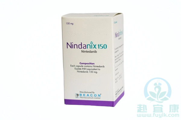 孟加拉碧康尼达尼布(Nindanix)说明书