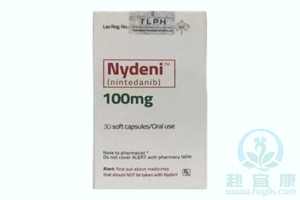 老挝东盟尼达尼布(Nydeni)说明书