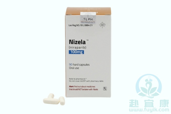 老挝东盟尼拉帕尼(Nizela)说明书
