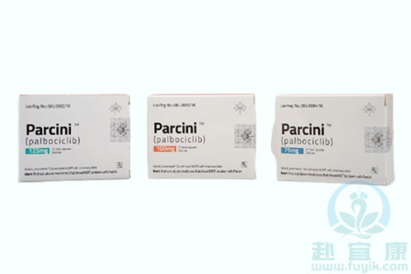 老挝东盟帕博西尼(Parcini)说明书