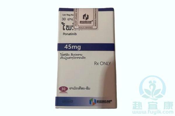 老挝大熊普纳替尼(Ponatinib)说明书