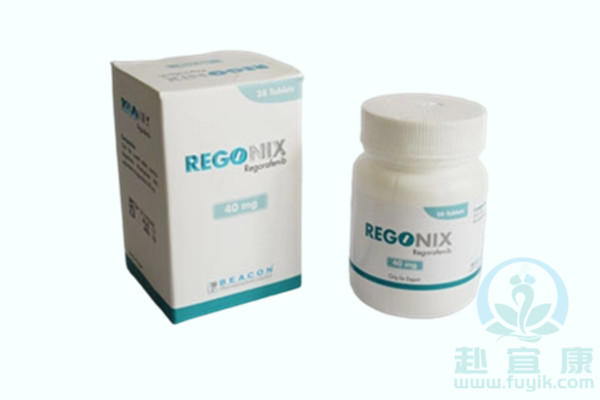 孟加拉碧康瑞戈非尼(REGONIX)说明书