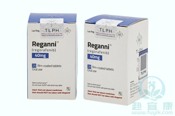 老挝东盟瑞戈非尼(Reganni)说明书