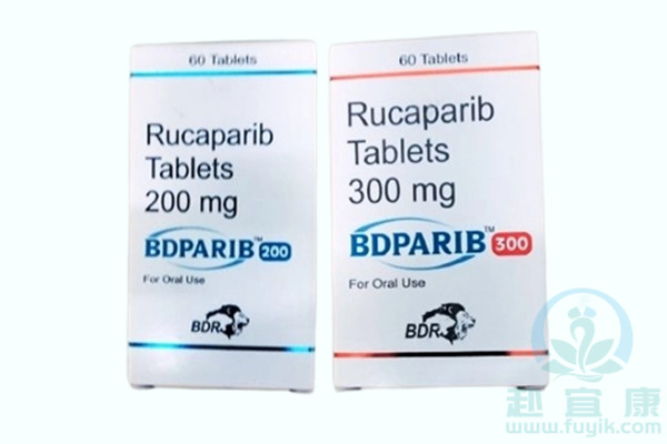 印度BDR芦卡帕尼/鲁卡帕尼(BDPARIB)说明书