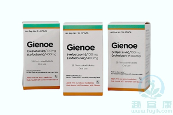 老挝东盟吉三代(Gienoe)说明书