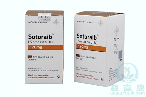 老挝东盟索托拉西布(Sotoraib)说明书