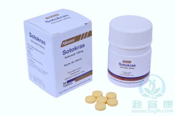 老挝联合索托拉西布(Sotokras)说明书