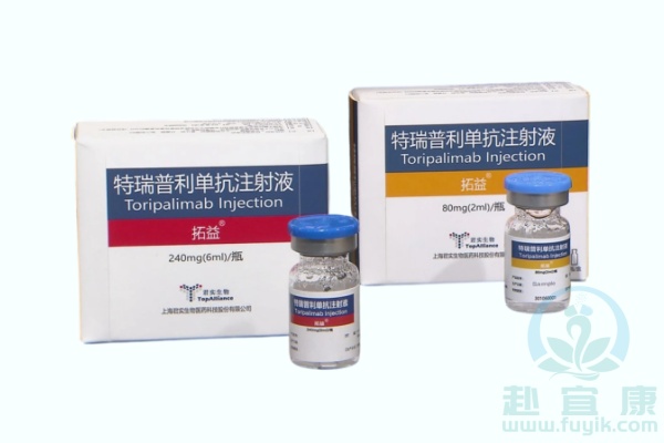 特瑞普利单抗(拓益,Toripalimab)说明书