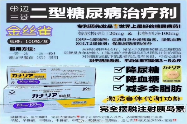 日本金丝雀二型糖尿病治疗剂说明书