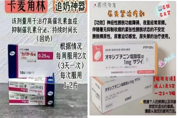 日本卡麦角林说明书/日本尿失禁治疗剂