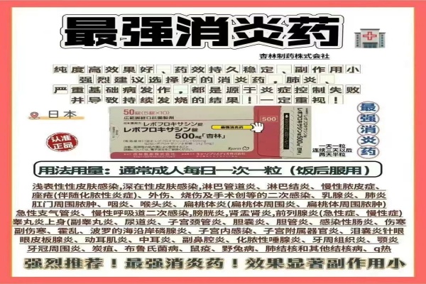 日本最强消炎药说明书