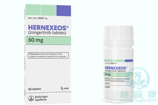 宗格替尼/宗艾替尼(Zongertinib)圣赫途Hernexeos说明书