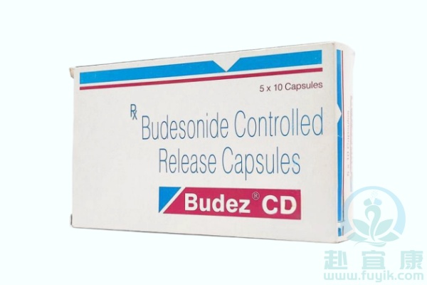印度太阳制药布地奈德(Budesonide,Budez)说明书